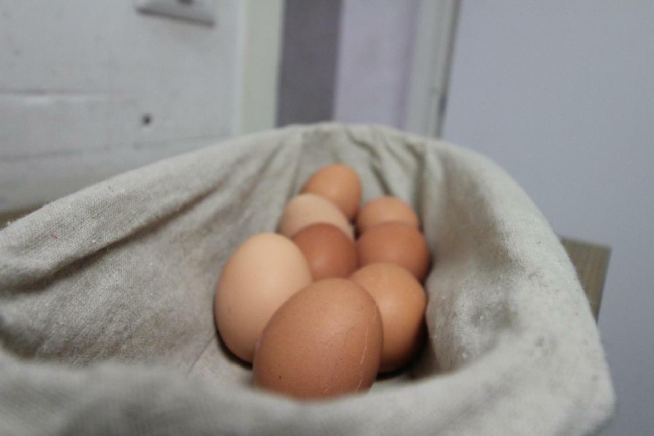Bed & Breakfast Star Of 2*